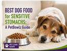 Best Dog Food for Sensitive Stomachs: A PetBowlz Guide