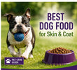 Best Dog Food for Skin & Coat