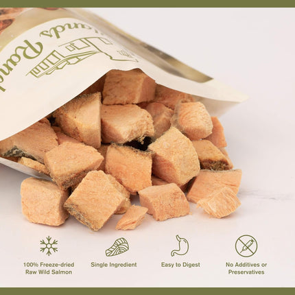 Badlands Ranch Freeze-Dried Raw Superfood Bites Salmon Dog Treats