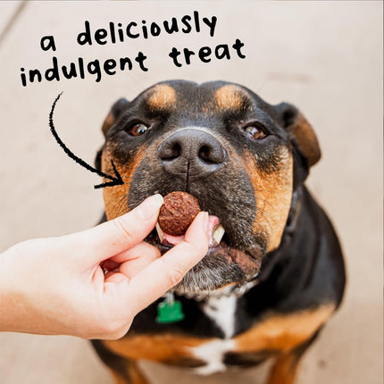 Wag More Bark Less Meatball Bites Gyro Lamb Recipe Dog Treats