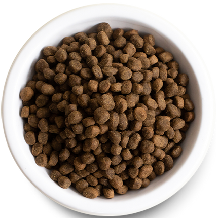 Open Farm Wild-Caught Salmon Grain-Free Dog Kibble