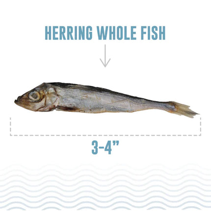 Icelandic+ Herring Whole Fish Cat Treat