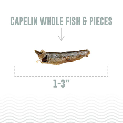 Icelandic+ Capelin Whole Fish Cat Treat