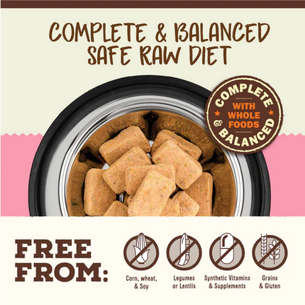 Primal Freeze-Dried Raw Nuggets Beef & Salmon Formula Cat Food