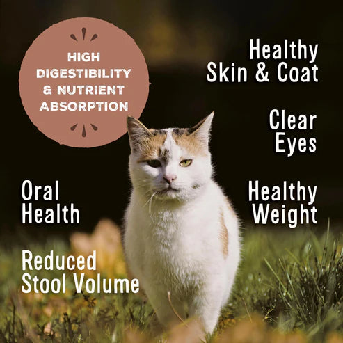 Primal Freeze-Dried Raw Nuggets Beef & Salmon Formula Cat Food