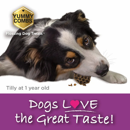 Yummy Combs® Fish & Egg Dental Treats For XS-XL Dogs