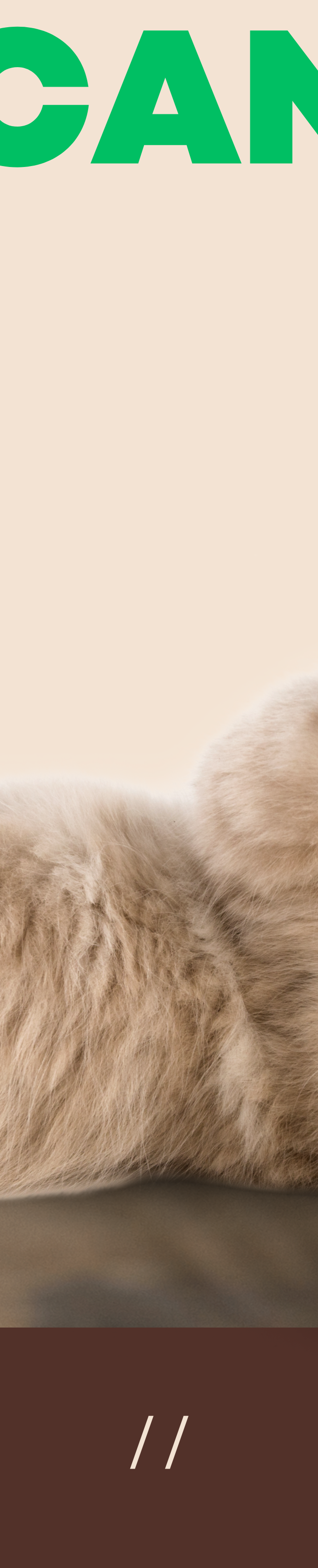 <h1>How can we help you?</h1>