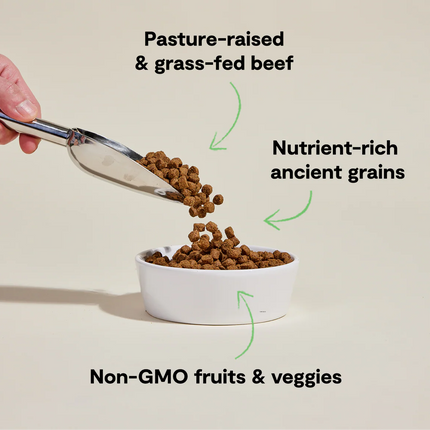 Open Farm Grass-Fed Beef & Ancient Grains Recipe Dog Food