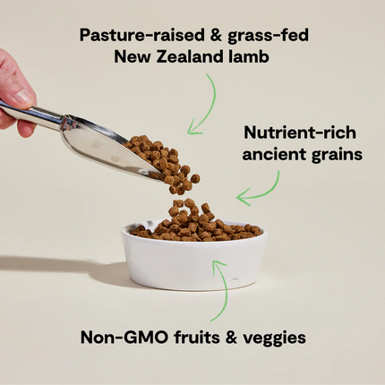 Open Farm Pasture-Raised Lamb & Ancient Grains Recipe Dog Food