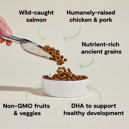 Open Farm Puppy Chicken, Salmon & Ancient Grains Recipe Dog Food