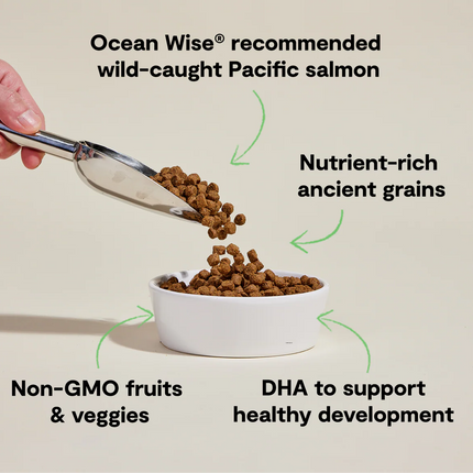 Open Farm Puppy Salmon & Ancient Grains Recipe Dog Food