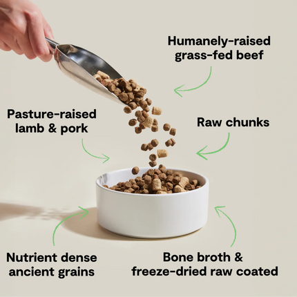 Open Farm RawMix Front Range Recipe with Ancient Grains Dog Food