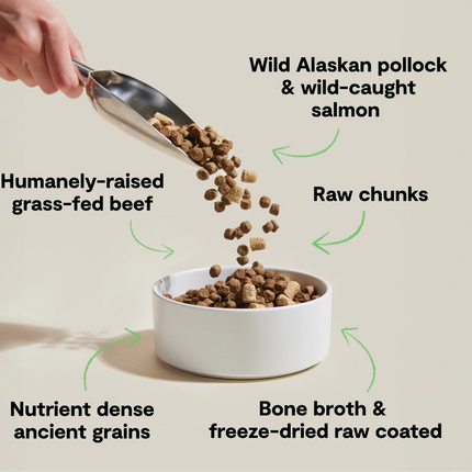 Open Farm RawMix Tide & Terrain Recipe Ancient Grains Dog Food