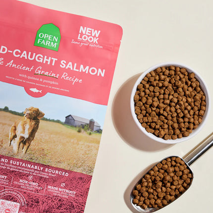 Open Farm Wild-Caught Salmon & Ancient Grains Dry Dog Food