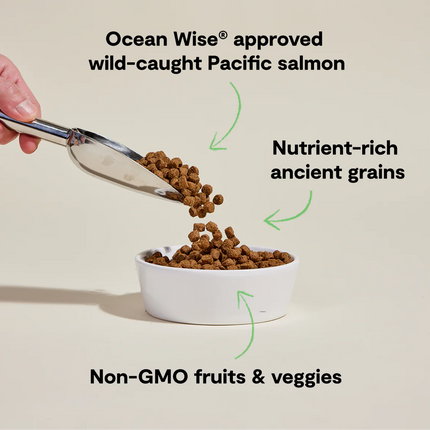 Open Farm Wild-Caught Salmon & Ancient Grains Dry Dog Food