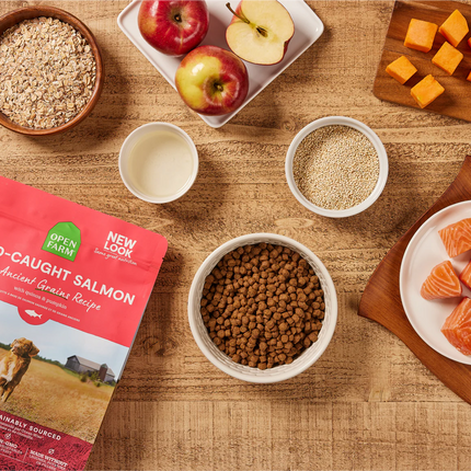 Open Farm Wild-Caught Salmon & Ancient Grains Dry Dog Food