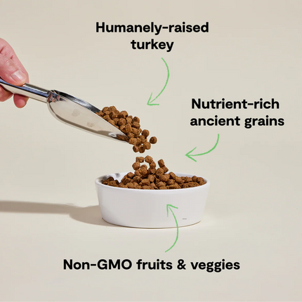 Open Farm Homestead Turkey & Ancient Grains Recipe Dog Food