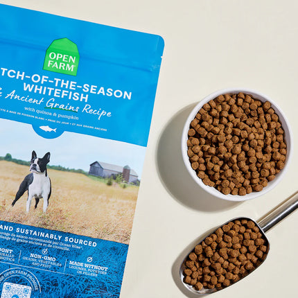 Open Farm Catch-of-the-Season Whitefish & Ancient Grains Recipe Dog Food
