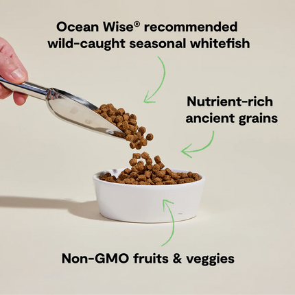 Open Farm Catch-of-the-Season Whitefish & Ancient Grains Recipe Dog Food