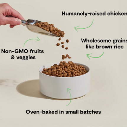 Open Farm Goodbowl Harvest Chicken & Brown Rice Dog Food