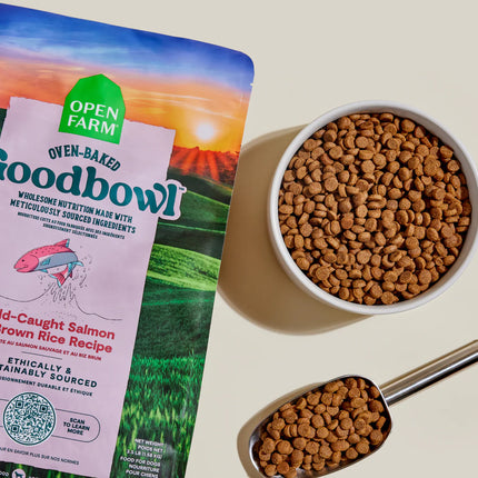 Open Farm Goodbowl Wild-Caught Salmon & Brown Rice Dog Food
