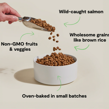 Open Farm Goodbowl Wild-Caught Salmon & Brown Rice Dog Food