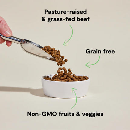 Open Farm Grain-Free Grass Fed Beef Recipe Dog Food