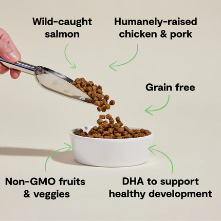 Open Farm Grain-Free Puppy Chicken & Salmon Recipe Dog Food