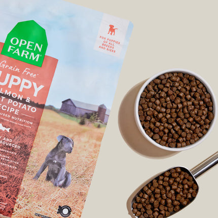 Open Farm Grain-Free Puppy Salmon & Sweet Potato Recipe Dog Food