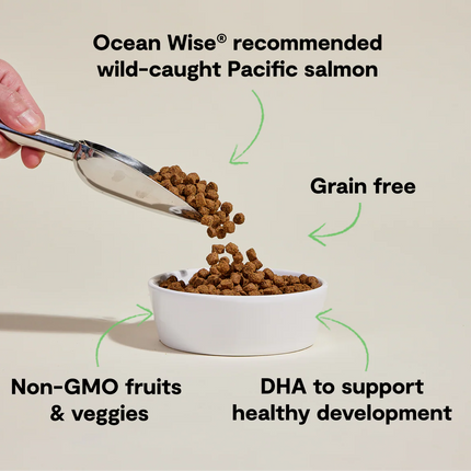 Open Farm Grain-Free Puppy Salmon & Sweet Potato Recipe Dog Food
