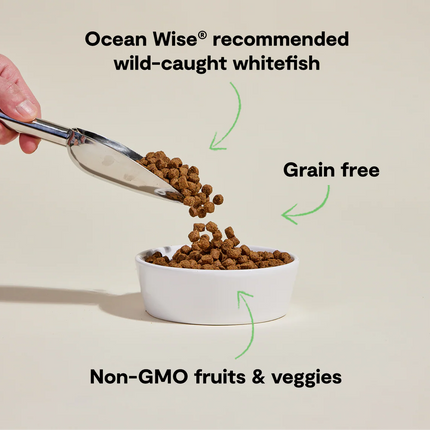 Open Farm Grain-Free Catch-of-the-Season Whitefish Recipe Dog Food