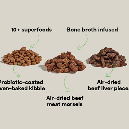 Open Farm Epic Blend Beef & Superfood Recipe Dog Food