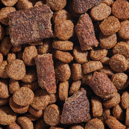 Open Farm Epic Blend Beef & Superfood Recipe Dog Food