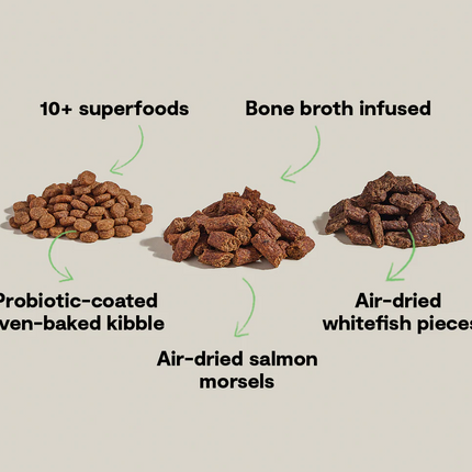 Open Farm Epic Blend Salmon & Superfood Recipe Dog Food