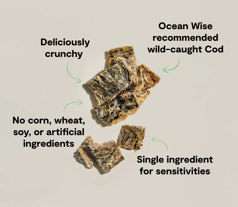 Open Farm Dehydrated Cod Skin Dog Treats 2.25oz