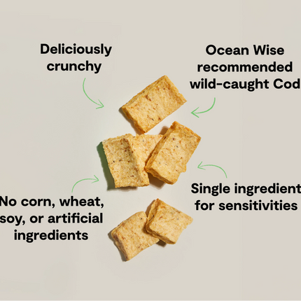 Open Farm Dehydrated Cod Fish Dog Treats 2oz