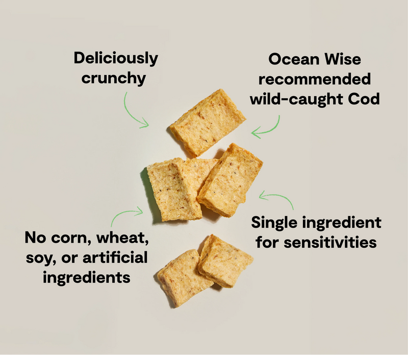 Open Farm Dehydrated Cod Fish Dog Treats 2oz