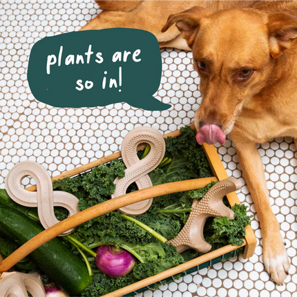 Woof HonestChew Antler Dog Chew