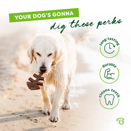 Benebone Jack Salmon Fishbone Durable Dog Toy