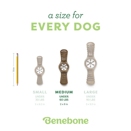 Benebone Pawplexer Bacon Flavor Dog Toy