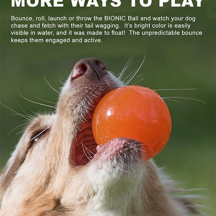 Bionic Ball Dog Toy