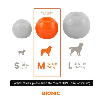 Bionic Ball Dog Toy