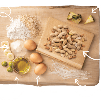 Earth Animal No-Hide Rolls Peanut Butter Recipe Dog Treat