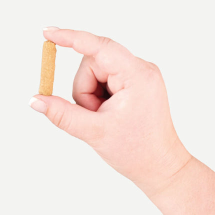 Earthborn EarthBites Chewy with Turkey Protein Dog Treats