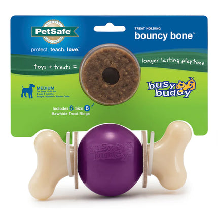PetSafe Busy Buddy Bouncy Bone Treat Holding Dog Toy