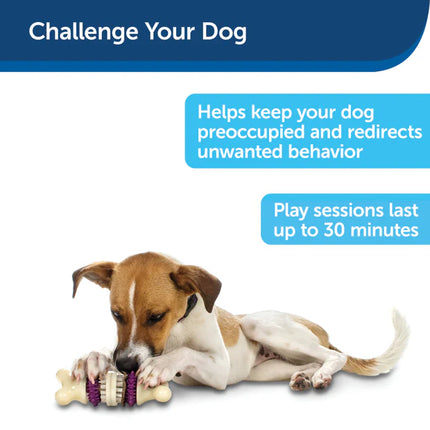 PetSafe Busy Buddy Bristle Bone Treat Holding Dog Toy
