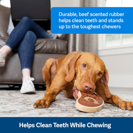 PetSafe Busy Buddy Slab O' Sirloin Treat Holding Dog Toy