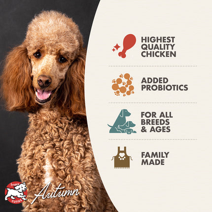 Fromm Four-Star Nutritionals Chicken au Frommage Recipe Food for Dogs