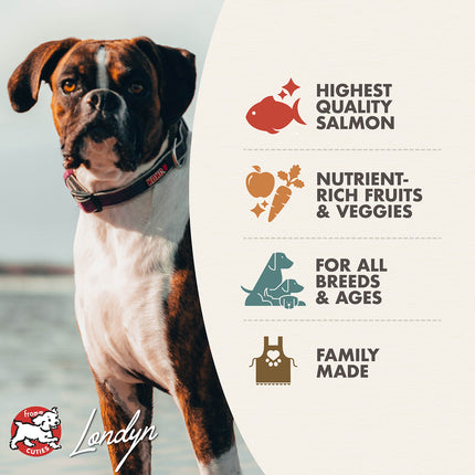 Fromm Four-Star Nutritionals Salmon À La Veg Food for Dogs