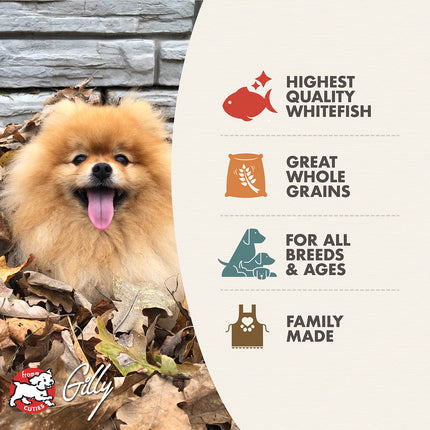 Fromm Four-Star Nutritionals Whitefish & Potato Formula Dog Food